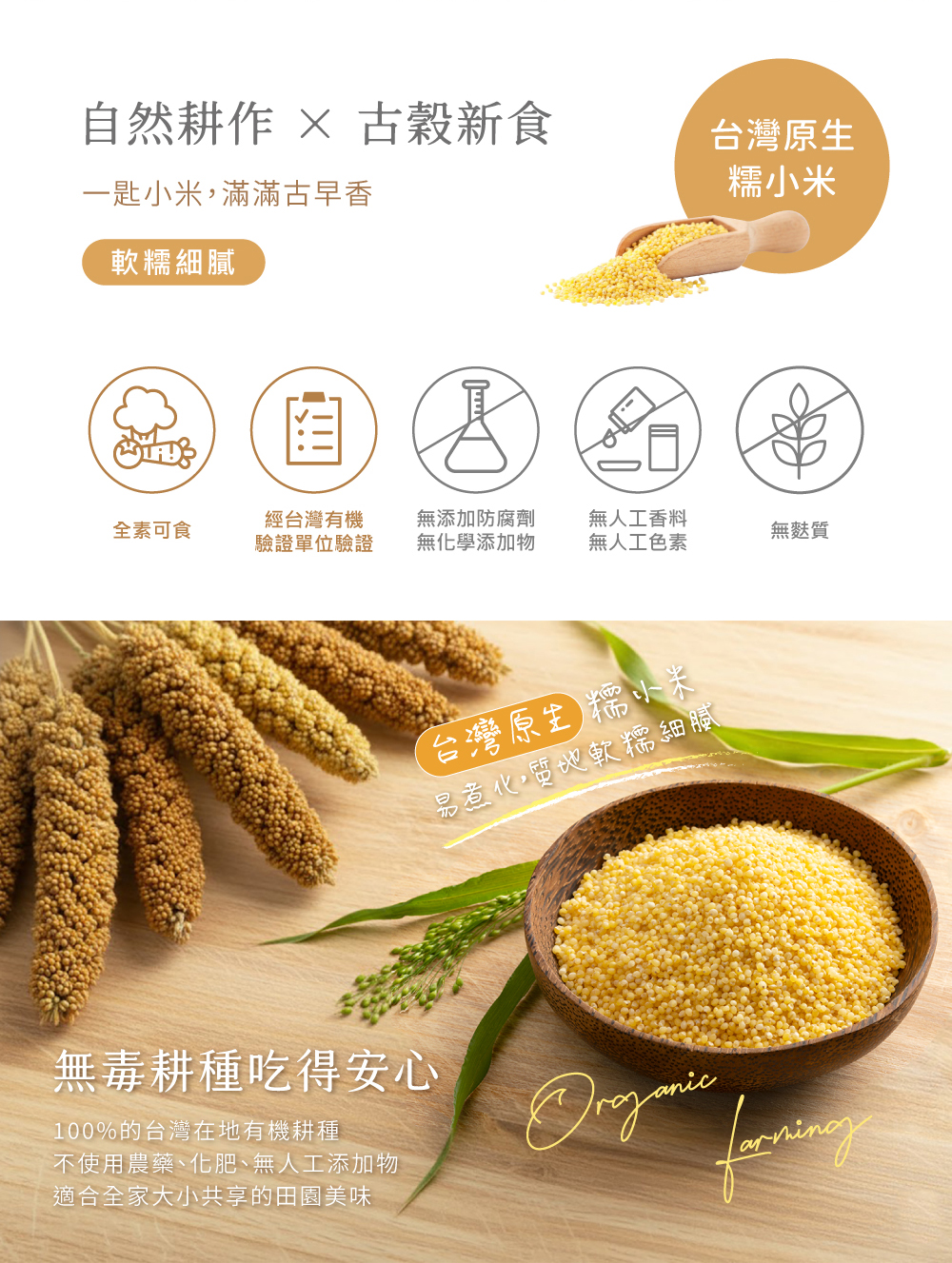 有機小米介紹圖02